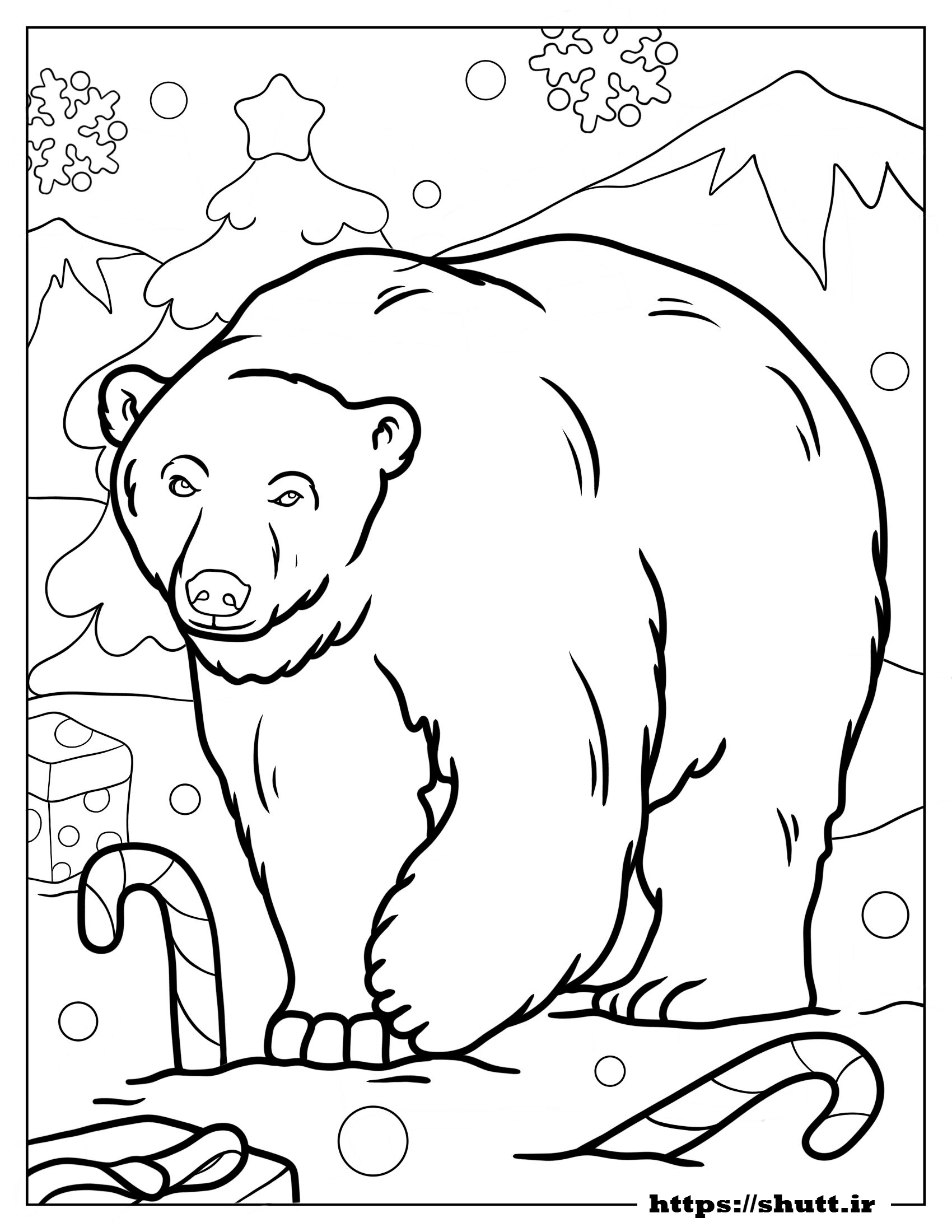 نقاشی خرس