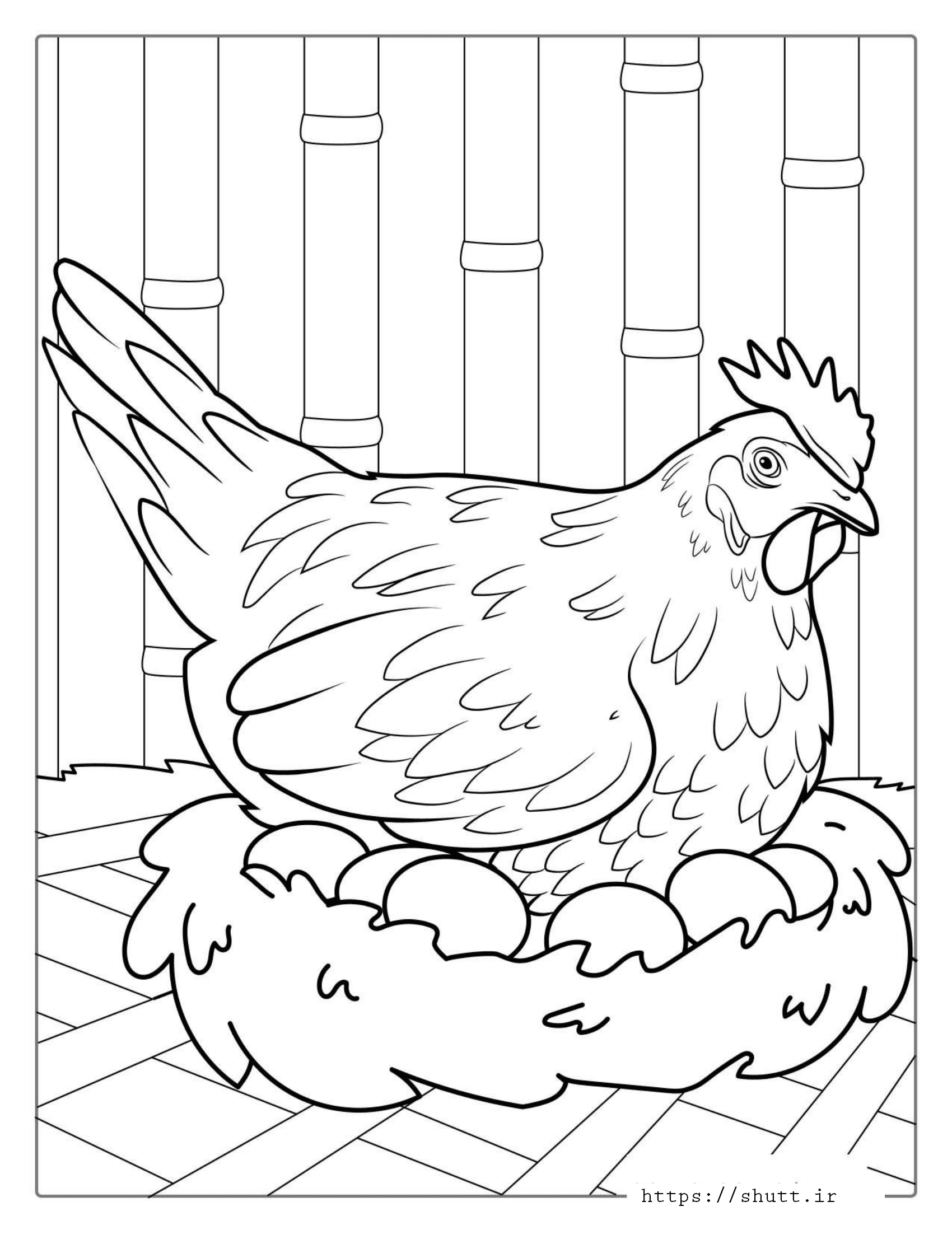 رنگ آمیزی نقاشی مرغ و تخم مرغ