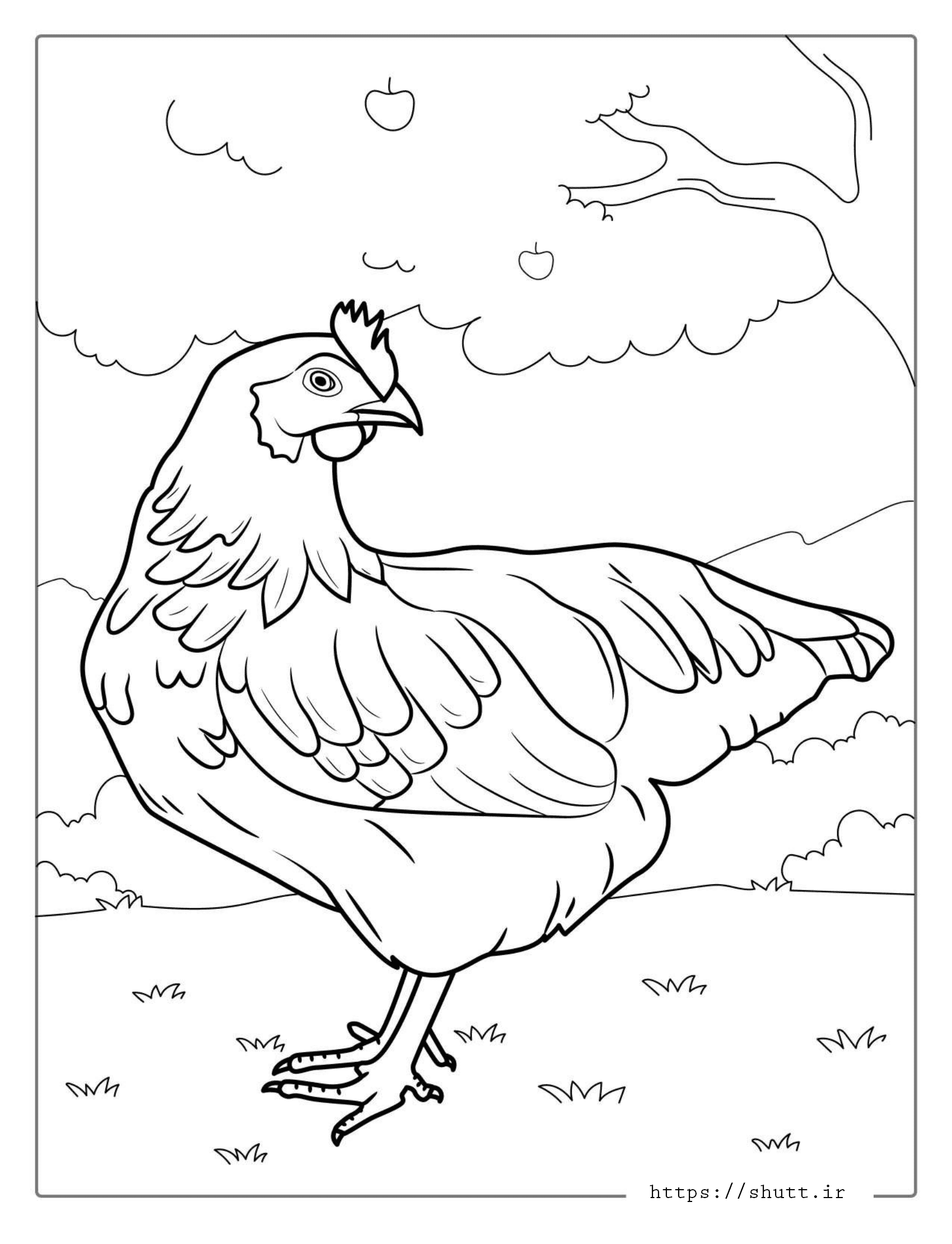نقاشی مرغ